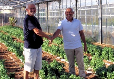 CC638 MIDIFLORE PLANTES AROMATIQUES SALZMANN RECOUVROT.JPG